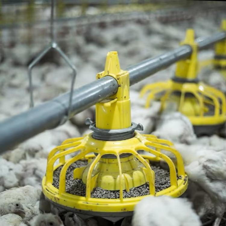 Farming Equipment For Agriculture - 鶏肉・家禽農業機器/ブロイラー飼料機器/養鶏機器販売