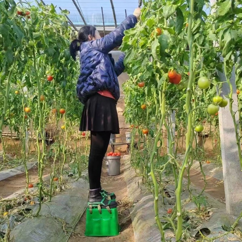 温室農場用高さ調整スツール、高さ調整シューズ、農作業用簡易ス - Agriculture Farming Shoes のレビューと価格