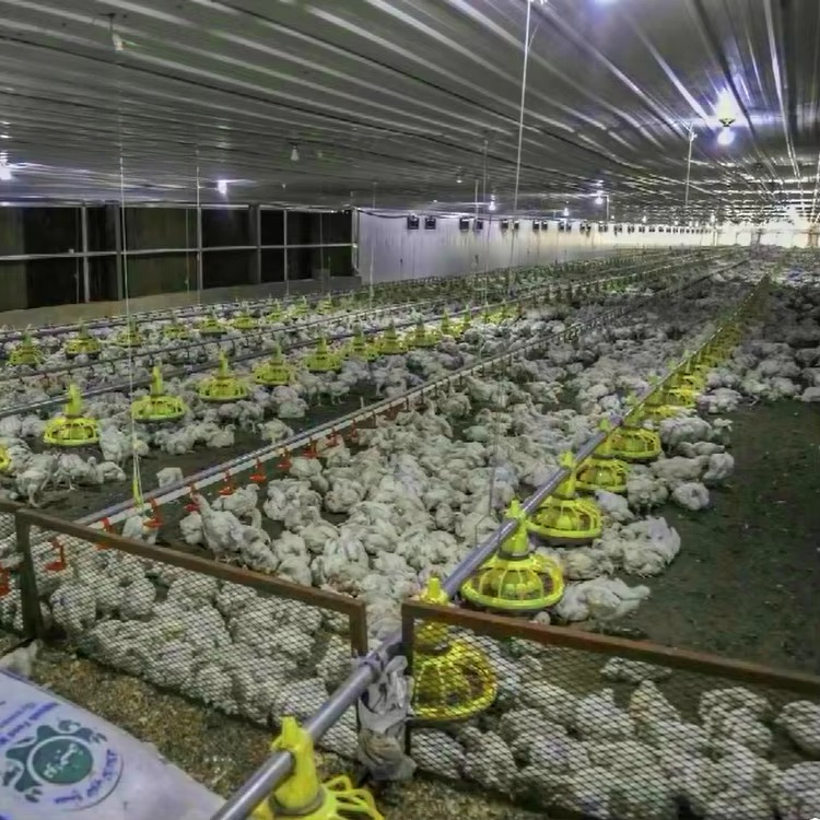 鶏肉・家禽農業機器/ブロイラー飼料機器/養鶏機器販売 - Farming Equipment For Agriculture のレビューと価格